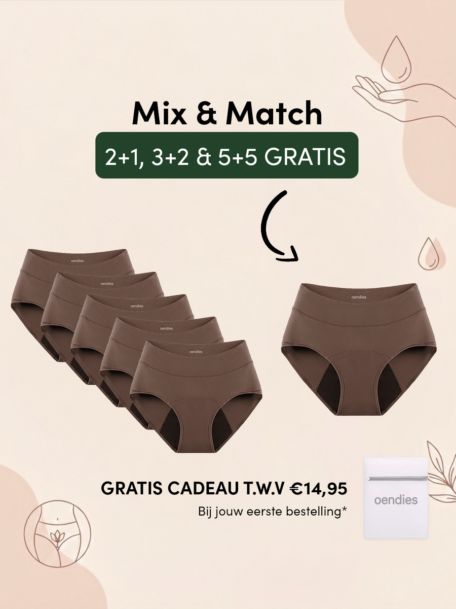 Huggster Brief | Lot de 10 | Incontinence sévère | 100% anti-fuite, jour & nuit | Marron | culotte menstruelle